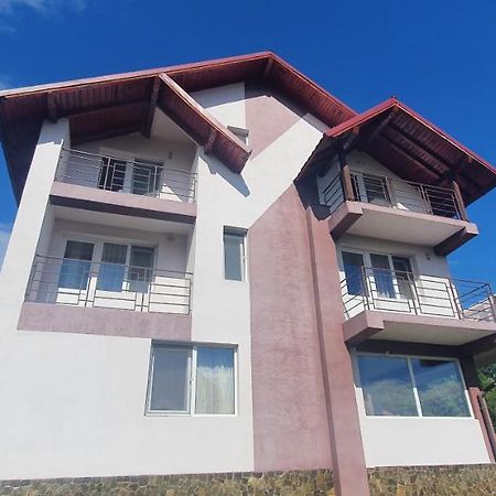 Casa Silvia Ξενοδοχείο Căpăţîneni-Ungureni Εξωτερικό φωτογραφία
