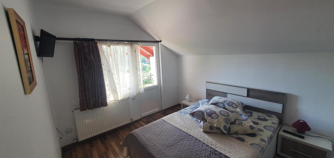 Casa Silvia Ξενοδοχείο Căpăţîneni-Ungureni Εξωτερικό φωτογραφία