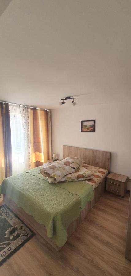Casa Silvia Ξενοδοχείο Căpăţîneni-Ungureni Εξωτερικό φωτογραφία