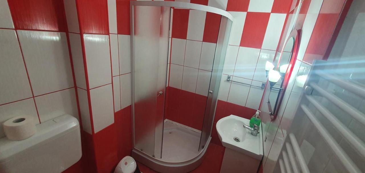 Casa Silvia Ξενοδοχείο Căpăţîneni-Ungureni Εξωτερικό φωτογραφία