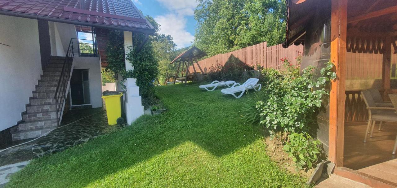 Casa Silvia Ξενοδοχείο Căpăţîneni-Ungureni Εξωτερικό φωτογραφία