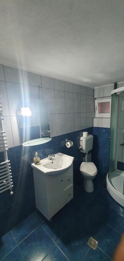 Casa Silvia Ξενοδοχείο Căpăţîneni-Ungureni Εξωτερικό φωτογραφία