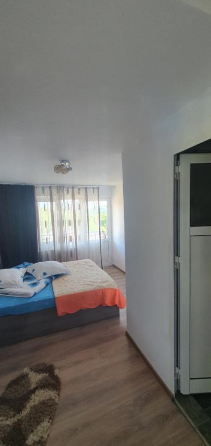 Casa Silvia Ξενοδοχείο Căpăţîneni-Ungureni Εξωτερικό φωτογραφία
